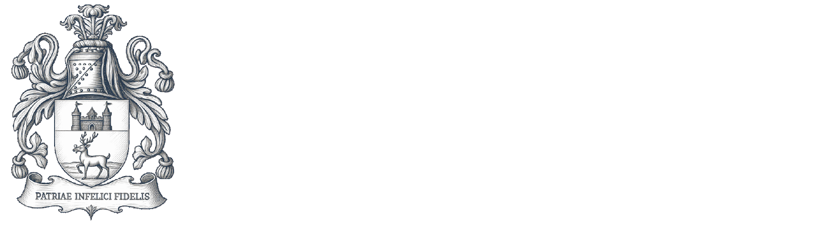 Lenihan Commercial Properties